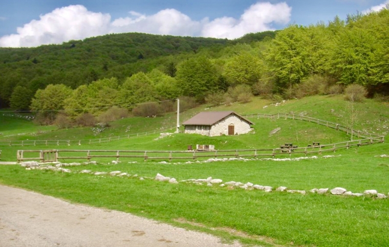 Escursione a Malga Saline di Rubbio