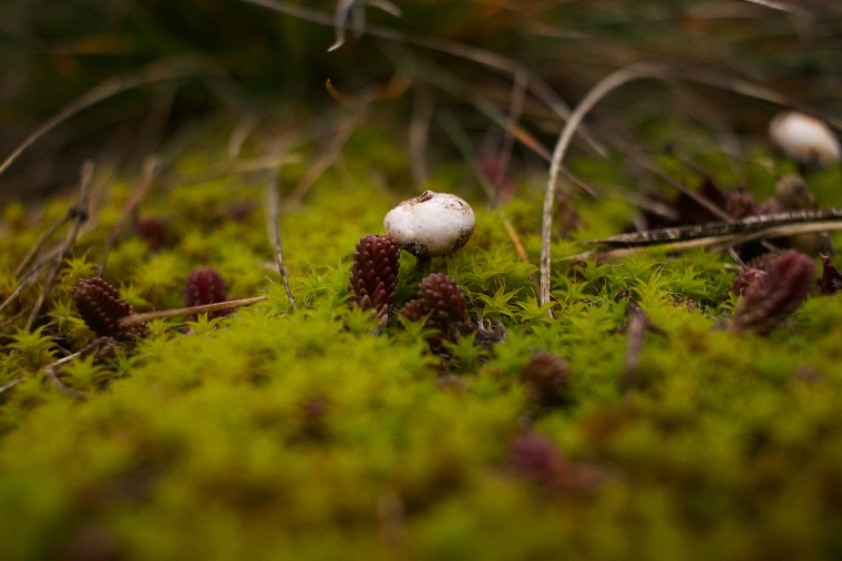 foto slider 2